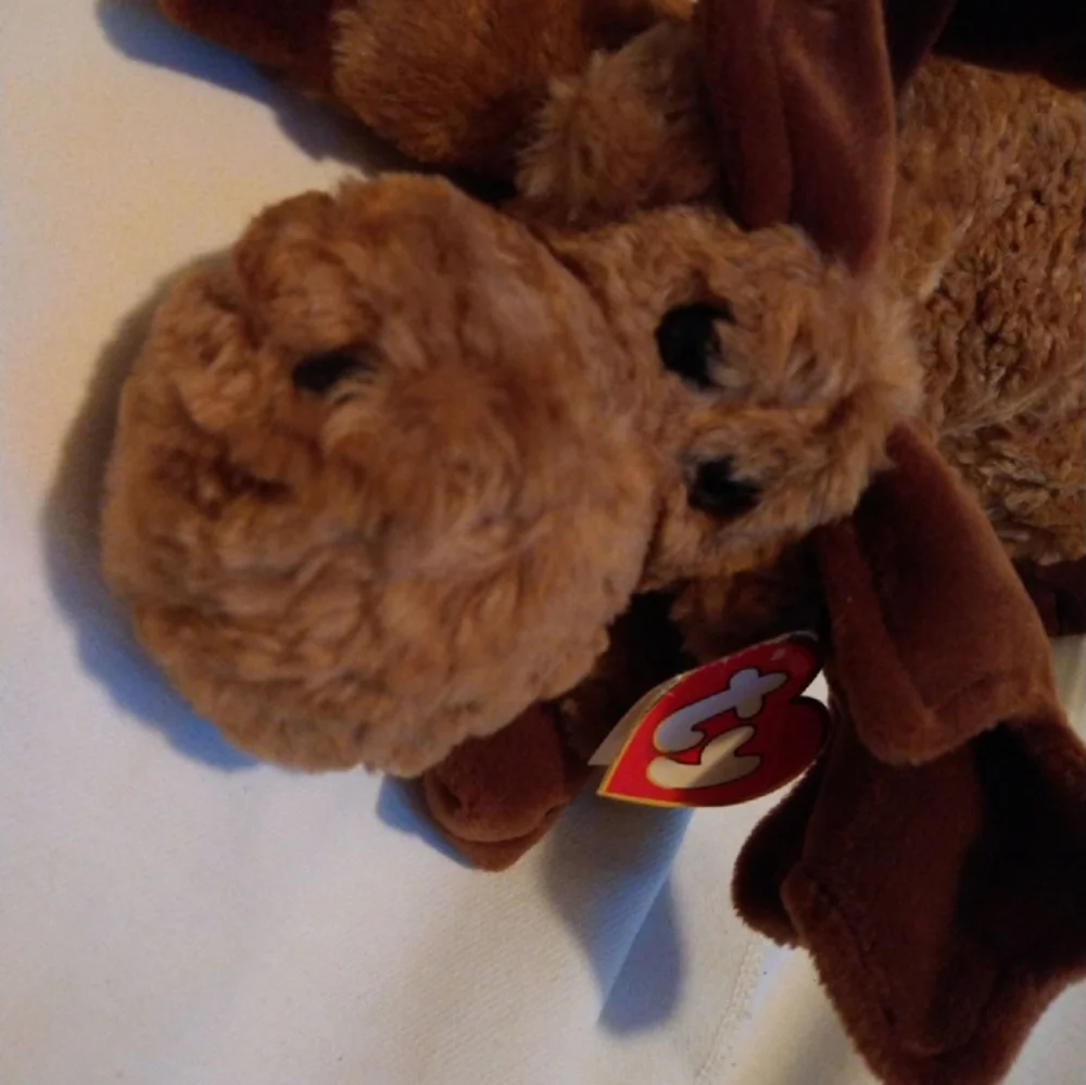 New Large 17" Mortimer TY Beanie Baby - Picture 4 of 4